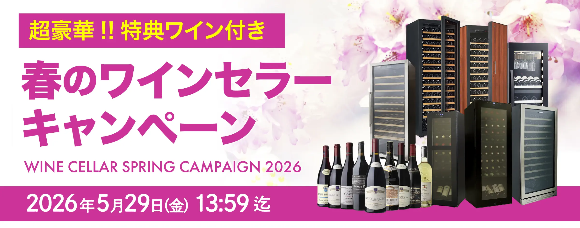 春のキャンペーン