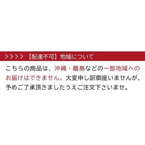 ワインセラー ルフィエール BASE18（C18SL） 家庭用 業務用｜ワイン