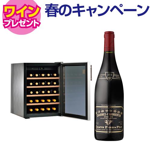 ワインセラー‼️　別料金で新品のワインとシャンパンもございます!　　　 50,001円~100,000円 家庭用｜ワインセラー専門店 セラー専科本店
