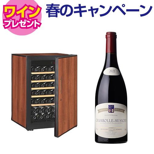 300,001円~500,000円 家庭用｜ワインセラー専門店 セラー専科本店