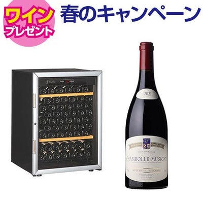 300,001円~500,000円 家庭用｜ワインセラー専門店 セラー専科本店