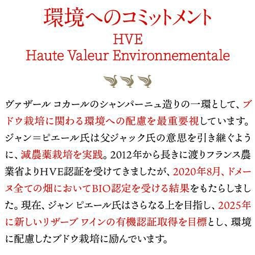 ヴァザール コカール エクストラ ブリュット グランクリュ ブラン ド
