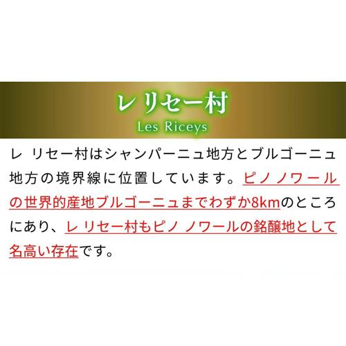 ドメーヌ アレクサンドル ボネブラン ド ノワール エクストラ
