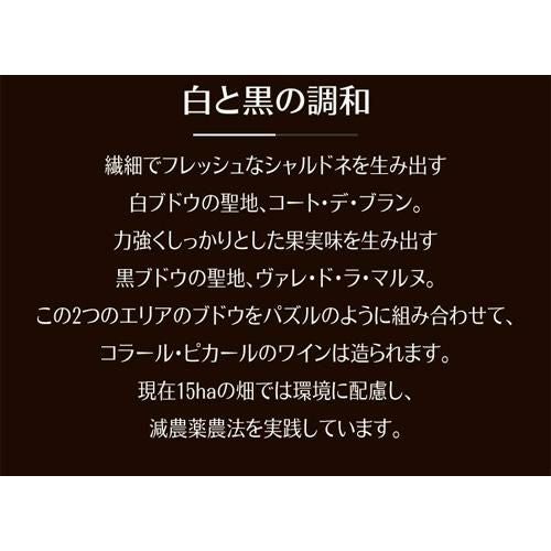 コラール ピカール アルシーヴ 2012 BOX 箱付 木箱 ミレジメ ミレジム