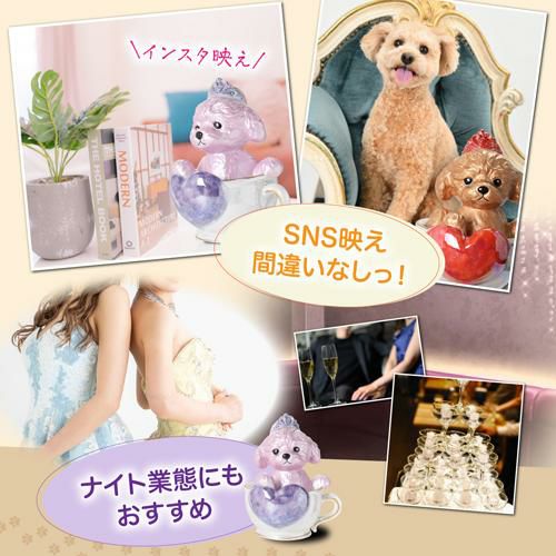 ティーカッププードル デキャンタ マロン ブラウン ブランデー│セラー