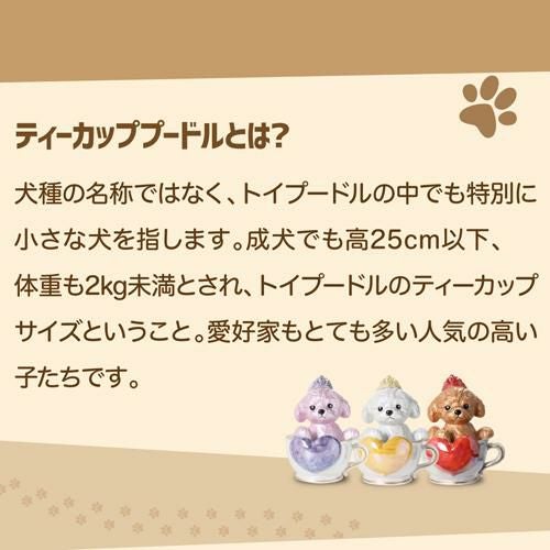 ティーカッププードル デキャンタ ブラン ホワイト ブランデー│セラー