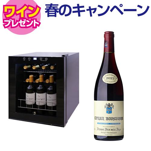 スタイルクレア イニッチオ inizio SI-01｜ワインセラー専門店 セラー専科