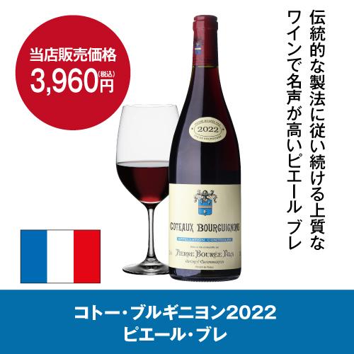 スタイルクレア イニッチオ inizio SI-01｜ワインセラー専門店 セラー専科