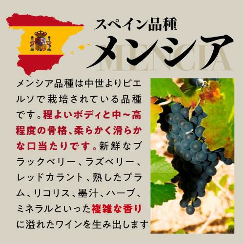 アルトス デ ロサダ ビニェドス ビエホス 2021 ヴィーニョ デ フィンカ