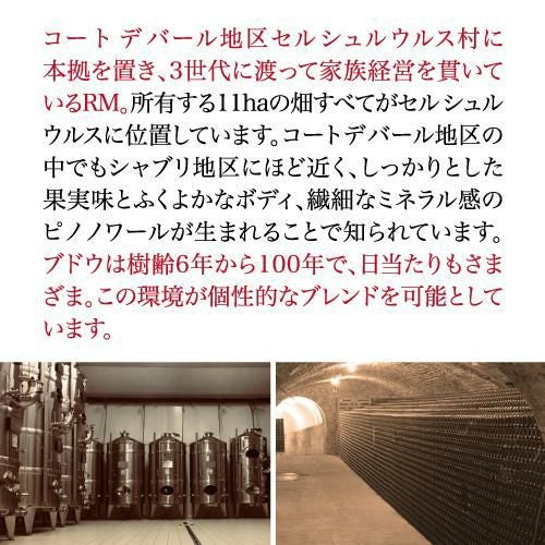 シャンパーニュ ジャン サンドラントラディション ブリュット 750ml