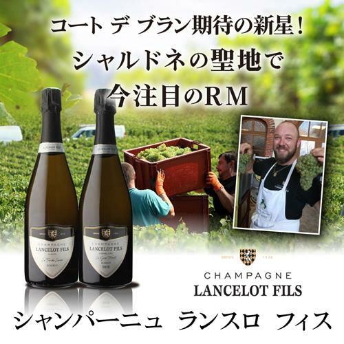 シャンパーニュ ランスロ フィスル フェール ド ランス ハーフ 375ml