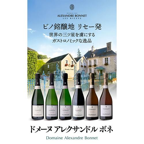 ドメーヌアレクサンドル ボネ ロゼ 2015 750ml ドメーヌ アレクサンドル ボネ7セパージュ レ コントレ 2019 750mlレ